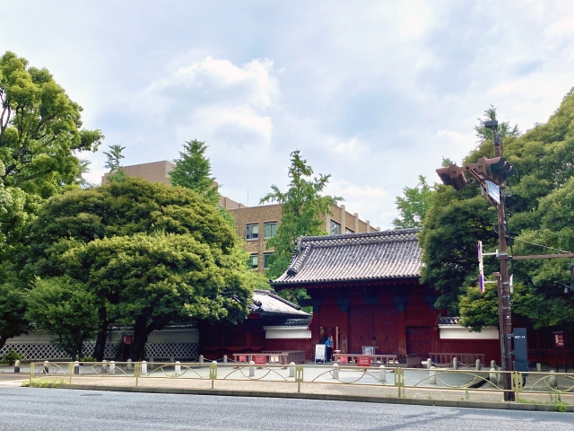 東京大学のキャンパス風景