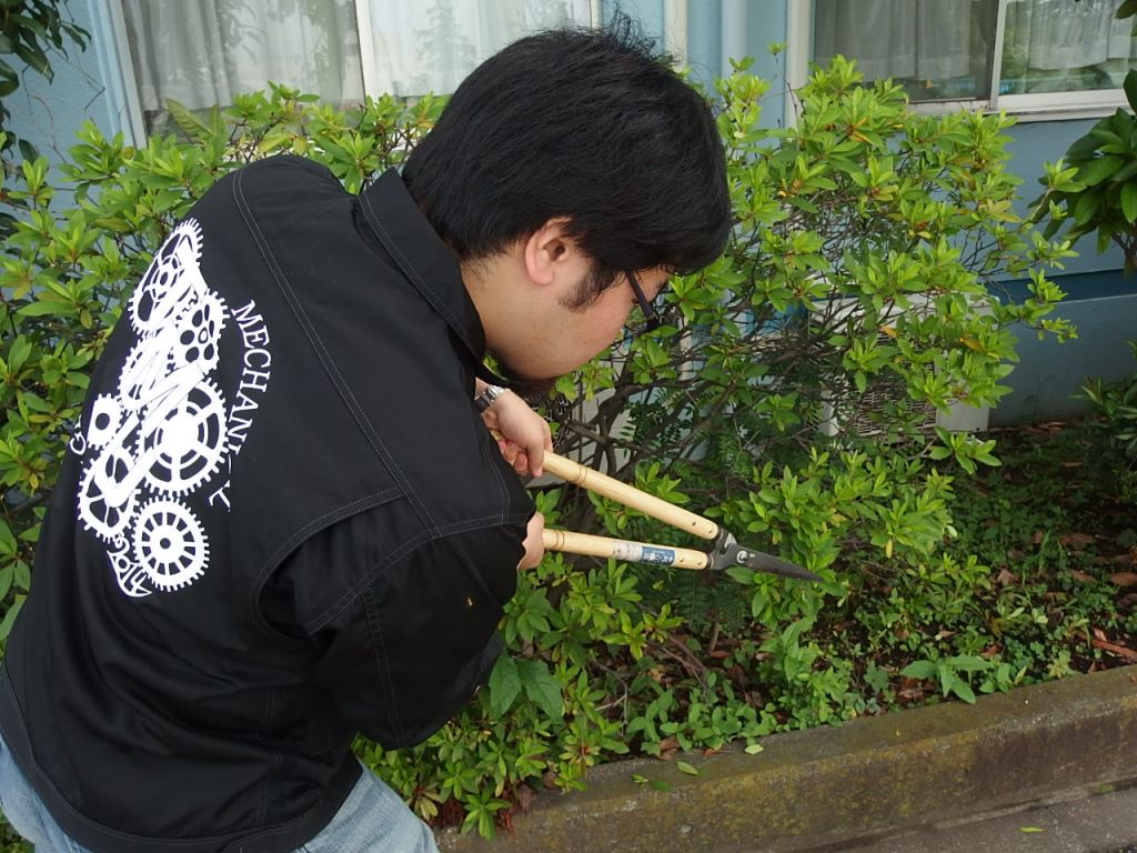 庭木の剪定作業の様子