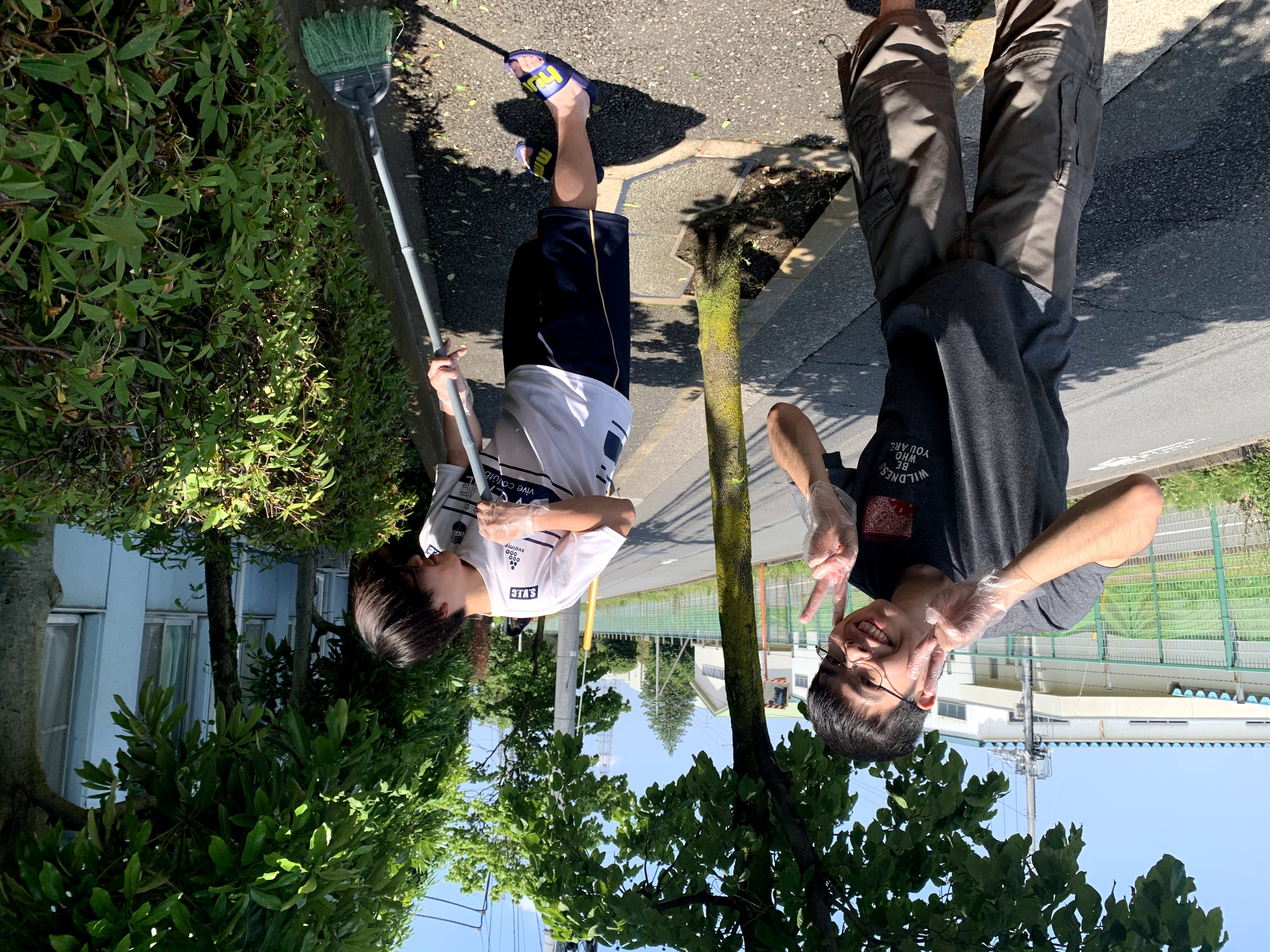 剪定作業の様子