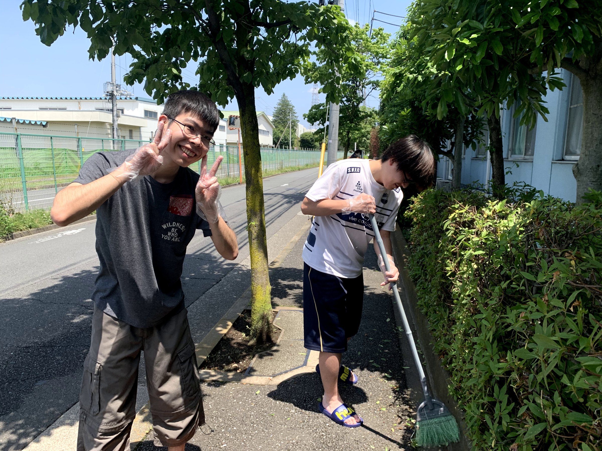 剪定作業の様子