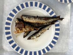 干物を食べる寮生