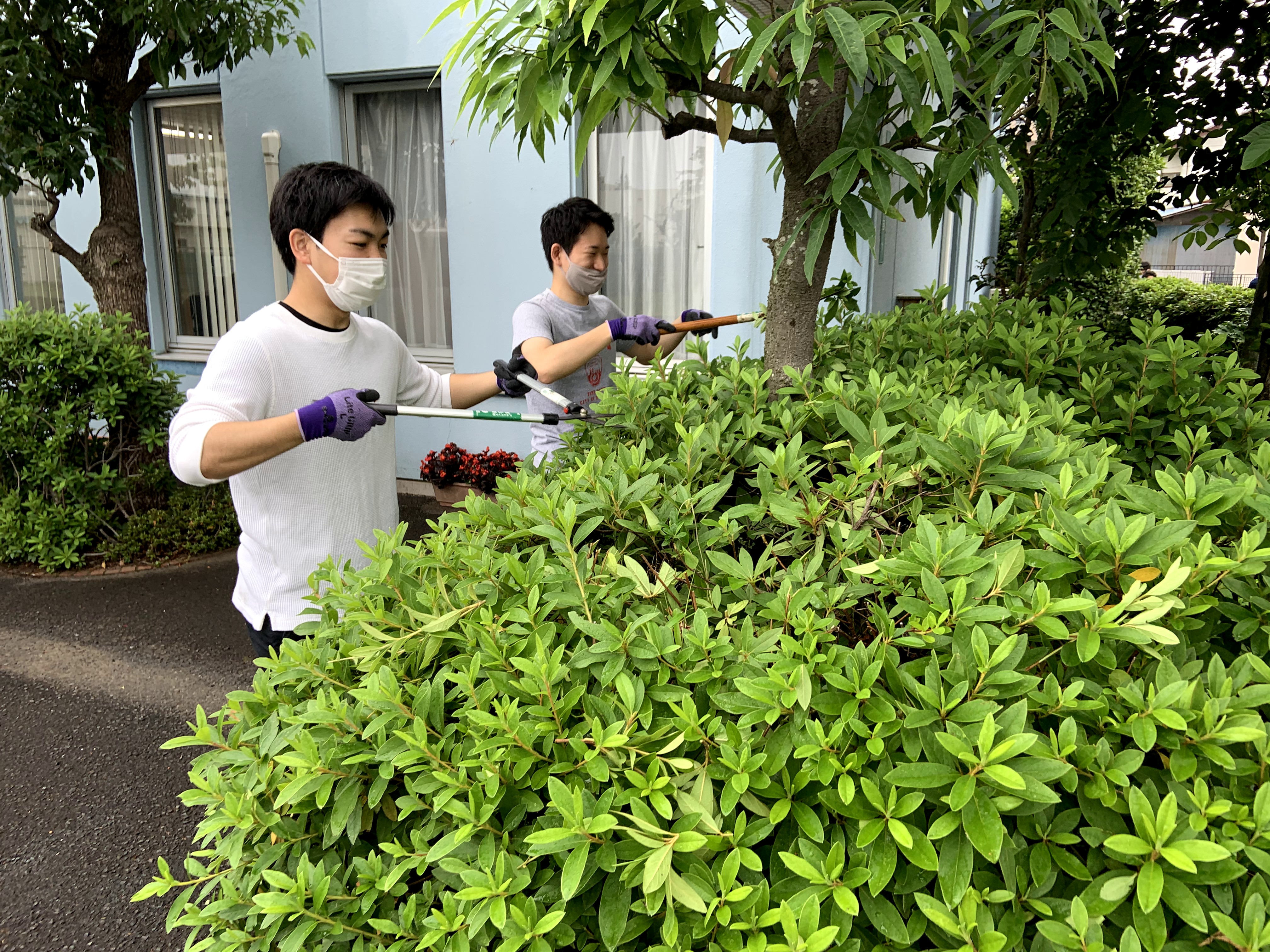 剪定前の枝を確認する寮生