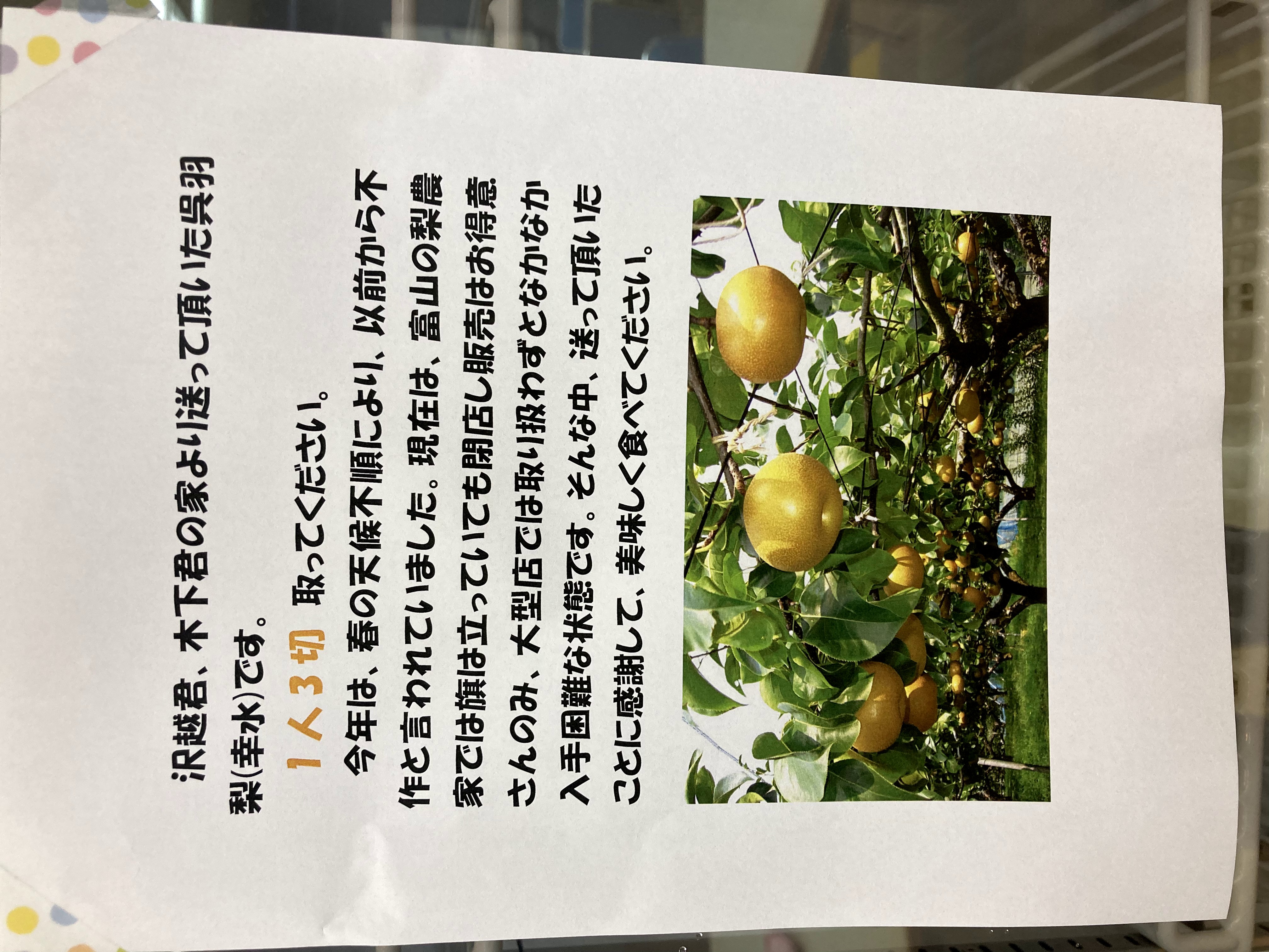 皮をむいた呉羽梨