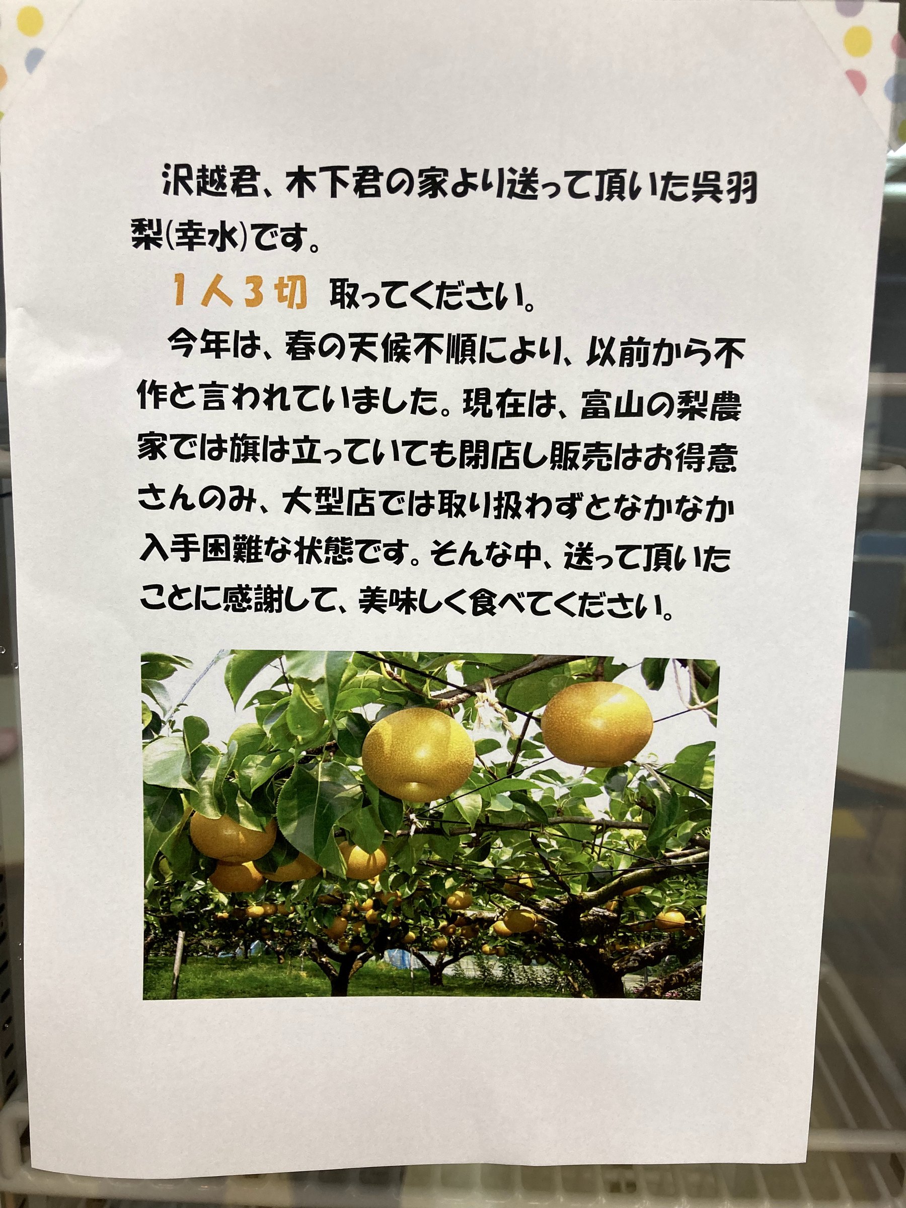 皮をむいた呉羽梨