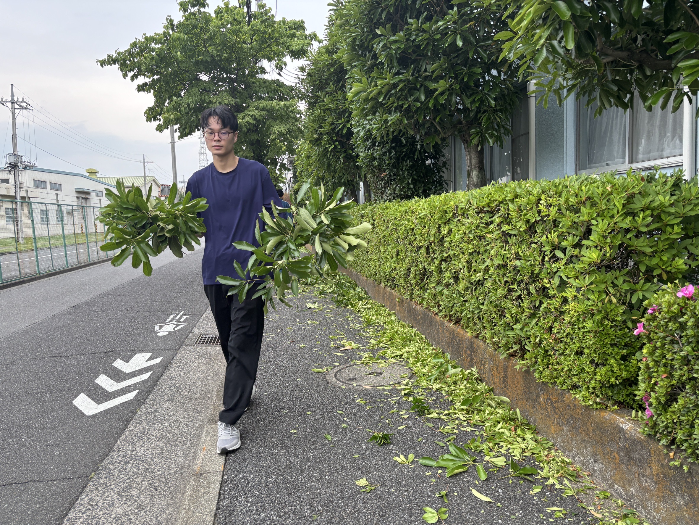 庭木剪定作業の様子3
