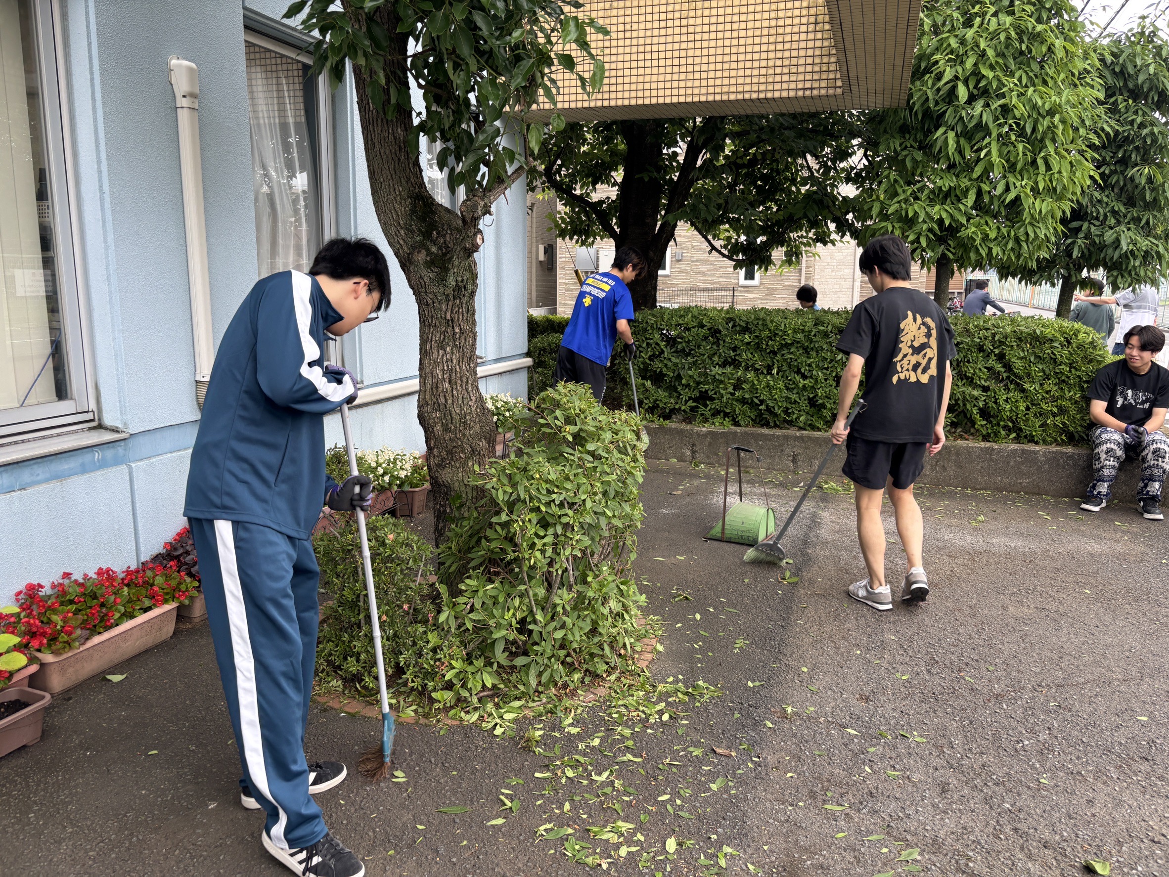 庭木剪定作業の様子4