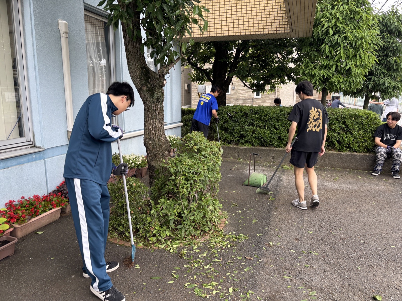 庭木剪定作業の様子4