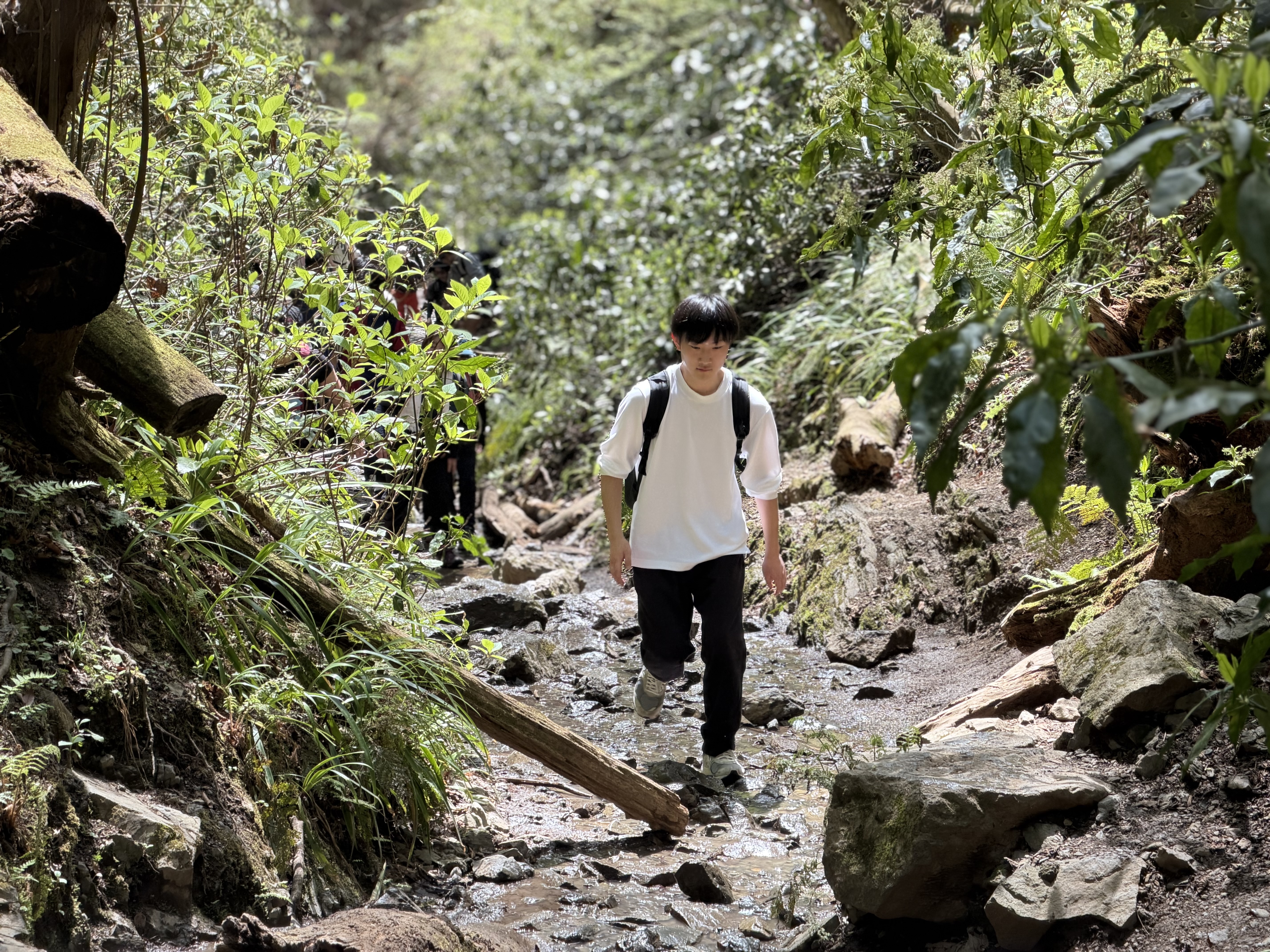 沢沿いの登山道を歩きながら高尾山を登る様子